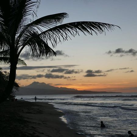 La Villa Caribeenne De La Plage Des Surfeurs La Trinite Ngoại thất bức ảnh
