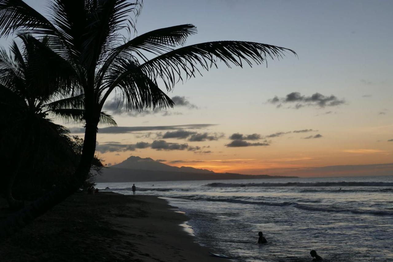 La Villa Caribeenne De La Plage Des Surfeurs La Trinite Ngoại thất bức ảnh