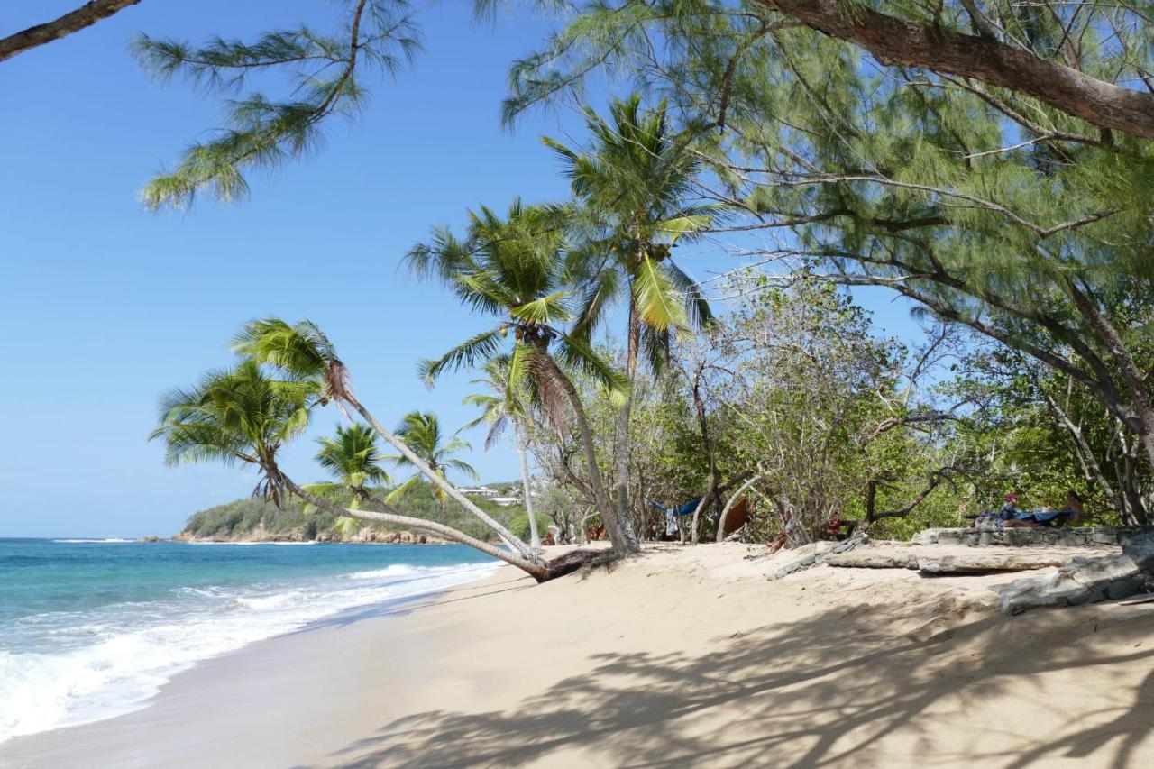 La Villa Caribeenne De La Plage Des Surfeurs La Trinite Ngoại thất bức ảnh